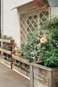 Trellis made of lattice covering window with climbing rose.