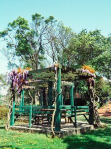 Rustic dining under arbor