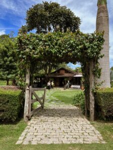 Garden Trellis over entrace